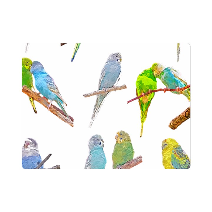 Parakeet T-shirtlots Of Colorful Parakeets - Cute Little Birds T-shirt Premium Plush Fleece Blanket (Mini)