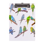 Parakeet T-shirtlots Of Colorful Parakeets - Cute Little Birds T-shirt A5 Acrylic Clipboard Front