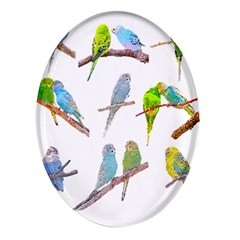 Parakeet T-shirtlots Of Colorful Parakeets - Cute Little Birds T-shirt Oval Glass Fridge Magnet (4 Pack) by EnriqueJohnson