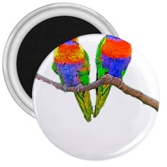 Parrots T-shirtcute Rainbow Loris - Lorikeet T-shirt 3  Magnets