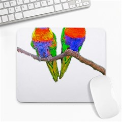 Parrots T-shirtcute Rainbow Loris - Lorikeet T-shirt Large Mousepad by EnriqueJohnson