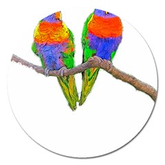 Parrots T-shirtcute Rainbow Loris - Lorikeet T-shirt Magnet 5  (round) by EnriqueJohnson