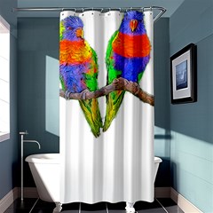 Parrots T-shirtcute Rainbow Loris - Lorikeet T-shirt Shower Curtain 36  X 72  (stall)  by EnriqueJohnson