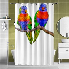 Parrots T-shirtcute Rainbow Loris - Lorikeet T-shirt Shower Curtain 48  X 72  (small)  by EnriqueJohnson