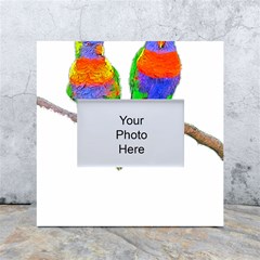 Parrots T-shirtcute Rainbow Loris - Lorikeet T-shirt White Box Photo Frame 4  X 6  by EnriqueJohnson