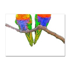 Parrots T-shirtcute Rainbow Loris - Lorikeet T-shirt Crystal Sticker (a4) by EnriqueJohnson