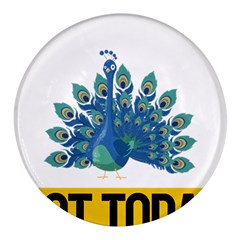 Peacock T-shirtnope Not Today Peacock 86 T-shirt Round Glass Fridge Magnet (4 Pack) by EnriqueJohnson