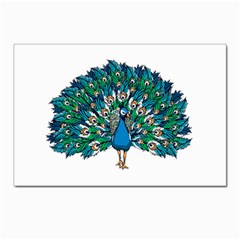 Peacock T-shirtwhite Look Calm Peacock 10 T-shirt Postcard 4 x 6  (pkg Of 10) by EnriqueJohnson