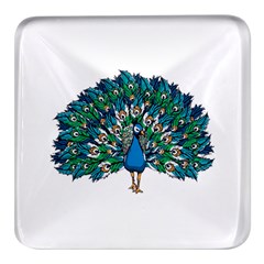 Peacock T-shirtwhite Look Calm Peacock 10 T-shirt Square Glass Fridge Magnet (4 Pack) by EnriqueJohnson