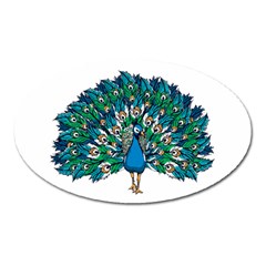 Peacock T-shirtwhite Look Calm Peacock 10 T-shirt Oval Magnet by EnriqueJohnson