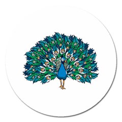 Peacock T-shirtwhite Look Calm Peacock 10 T-shirt Magnet 5  (round) by EnriqueJohnson