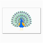 Peacock T-shirtwhite Look Calm Peacock 28 T-shirt (1) Postcards 5  x 7  (Pkg of 10) Front