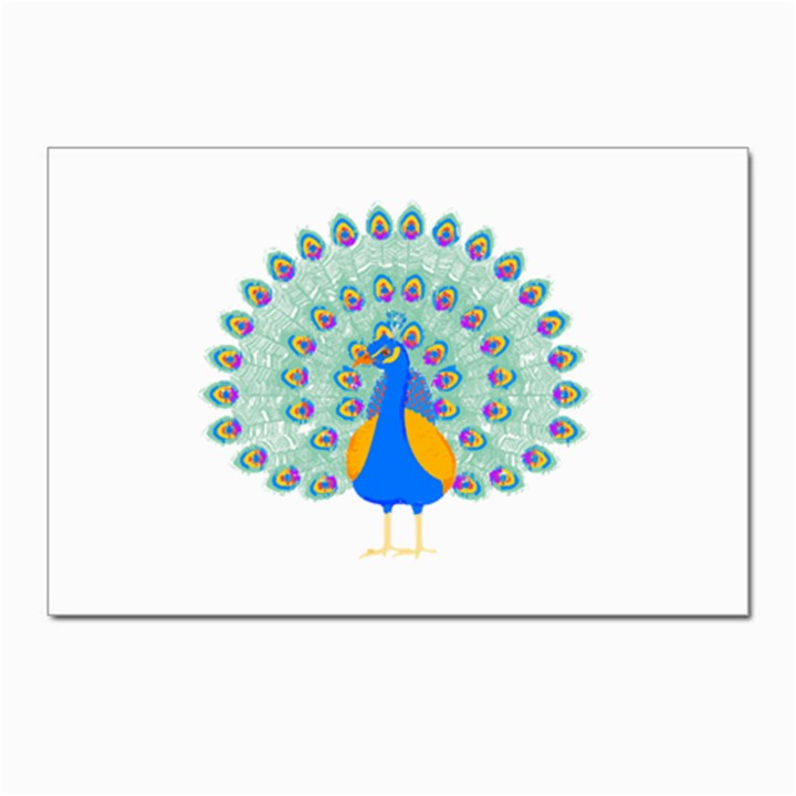 Peacock T-shirtwhite Look Calm Peacock 28 T-shirt (1) Postcards 5  x 7  (Pkg of 10)