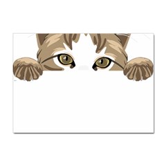 Peeking Cat T-shirtpeeking Cute Cat T-shirt Sticker A4 (10 Pack) by EnriqueJohnson