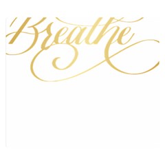 Breathe T- Shirt Breathe In Gold T- Shirt Two Sides Premium Plush Fleece Blanket (small) by JamesGoode