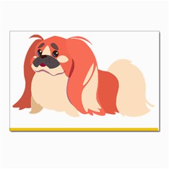 Pekingese T-shirtnope Not Today Pekingese 04 T-shirt Postcard 4 x 6  (pkg Of 10)