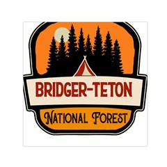 Bridger Teton T- Shirt Bridger Teton National Forest T- Shirt Square Satin Scarf (30  X 30 ) by JamesGoode