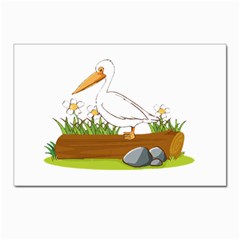 Pelican T-shirtwhite Look Calm Pelican 34 T-shirt (1) Postcards 5  X 7  (pkg Of 10) by EnriqueJohnson