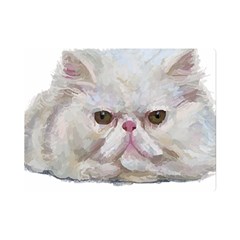 Persian Cat T-shirtnope Not Today Persian Cat 27 T-shirt Premium Plush Fleece Blanket (mini) by EnriqueJohnson