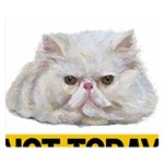 Persian Cat T-shirtnope Not Today Persian Cat 27 T-shirt Premium Plush Fleece Blanket (Small) 50 x40  Blanket Front