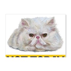 Persian Cat T-shirtnope Not Today Persian Cat 27 T-shirt Crystal Sticker (a4) by EnriqueJohnson