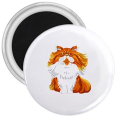 Persian Cat T-shirtwhite Look Calm Persian Cat 06 T-shirt (1) 3  Magnets