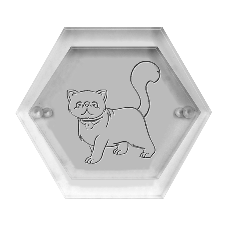 Persian Cat T-shirtwhite Look Calm Persian Cat 19 T-shirt (1) Hexagon Wood Jewelry Box