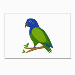 Pionus T-shirtwhite Look Calm Pionus 01 T-shirt (1) Postcard 4 x 6  (pkg Of 10) by EnriqueJohnson