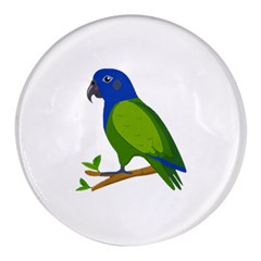 Pionus T-shirtwhite Look Calm Pionus 01 T-shirt (1) Round Glass Fridge Magnet (4 Pack) by EnriqueJohnson