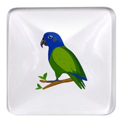 Pionus T-shirtwhite Look Calm Pionus 01 T-shirt Square Glass Fridge Magnet (4 Pack) by EnriqueJohnson