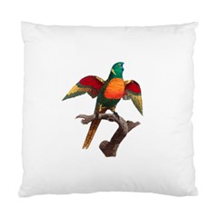 Pionus T-shirtwhite Look Calm Pionus 02 T-shirt (1) Standard Cushion Case (one Side) by EnriqueJohnson