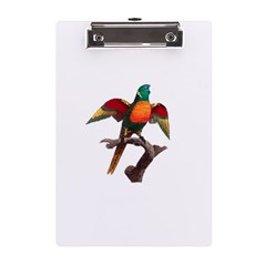 Pionus T-shirtwhite Look Calm Pionus 02 T-shirt (1) A5 Acrylic Clipboard by EnriqueJohnson