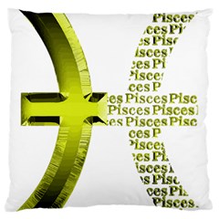 Pisces T-shirtnew Zodiac Symbol Pisces T-shirt Large Cushion Case (two Sides) by EnriqueJohnson