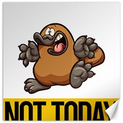 Platypus T-shirtnope Not Today Platypus 37 T-shirt Canvas 16  X 16  by EnriqueJohnson