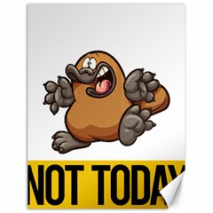 Platypus T-shirtnope Not Today Platypus 37 T-shirt Canvas 18  X 24  by EnriqueJohnson