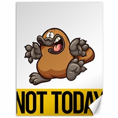 Platypus T-shirtnope Not Today Platypus 37 T-shirt Canvas 36  X 48  by EnriqueJohnson