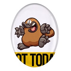 Platypus T-shirtnope Not Today Platypus 37 T-shirt Oval Glass Fridge Magnet (4 Pack) by EnriqueJohnson