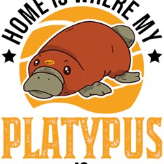 Platypus T-shirtplatypus Home T-shirt Play Mat (square) by EnriqueJohnson