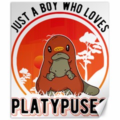 Platypus T-shirtplatypus Young T-shirt Canvas 20  X 24  by EnriqueJohnson