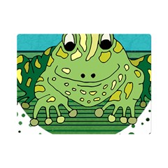 Frog Lovers Gift T- Shirtfrog T- Shirt Premium Plush Fleece Blanket (mini) by ZUXUMI