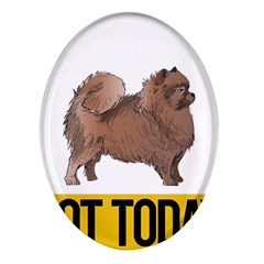 Pomeranian T-shirtnope Not Today Pomeranian 24 T-shirt Oval Glass Fridge Magnet (4 Pack) by EnriqueJohnson