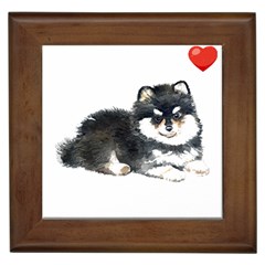 Pomeranian T-shirtsteal Your Heart Pomeranian 52 T-shirt Framed Tile by EnriqueJohnson