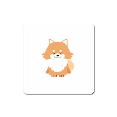 Pomeranian T-shirtwhite Look Calm Pomeranian 13 T-shirt Square Magnet by EnriqueJohnson