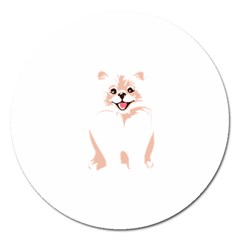 Pomeranian T-shirtwhite Look Calm Pomeranian 34 T-shirt Magnet 5  (round) by EnriqueJohnson