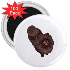 Pomeranian T-shirtwhite Look Calm Pomeranian 41 T-shirt 3  Magnets (100 Pack)