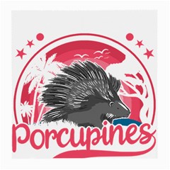 Porcupine T-shirtporcupine Girl T-shirt Medium Glasses Cloth (2 Sides) by EnriqueJohnson