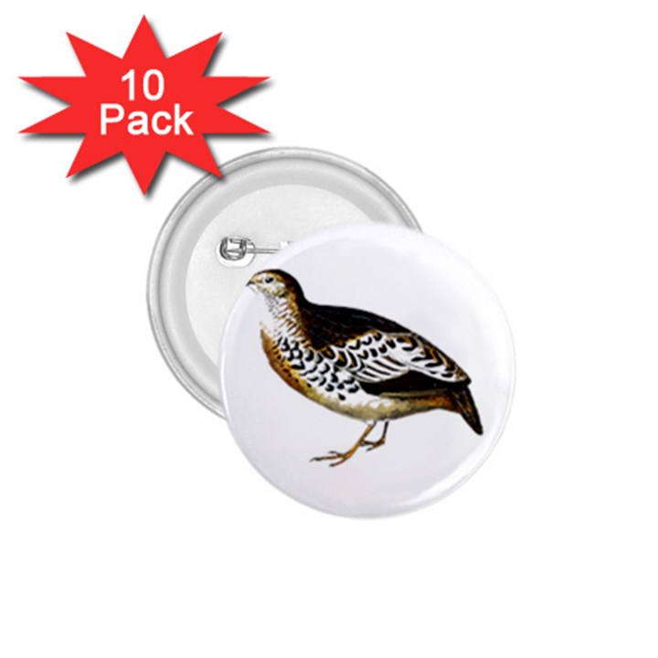 Quail T-shirtsteal Your Heart Quail 02 T-shirt 1.75  Buttons (10 pack)