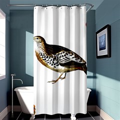 Quail T-shirtsteal Your Heart Quail 02 T-shirt Shower Curtain 36  X 72  (stall)  by EnriqueJohnson