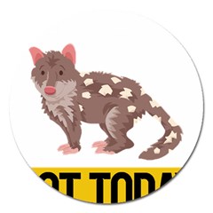 Quoll T-shirtnope Not Today Quoll 03 T-shirt Magnet 5  (round) by EnriqueJohnson