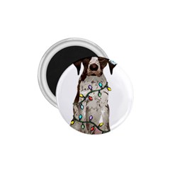 German Shorthaired Pointer Dog T- Shirt German Shorthaired Pointer Santa Christmas Tree Lights Xmas 1 75  Magnets by ZUXUMI